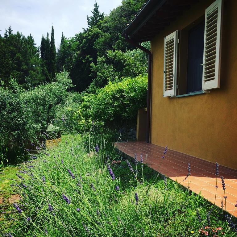 La Locanda Del Barbagianni Санта Луче Екстериор снимка